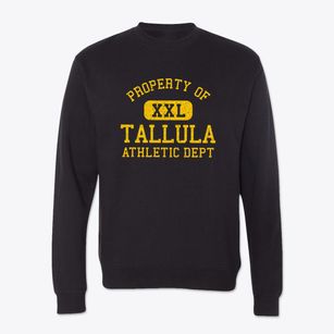 Tallula Illinois Athletic Dept Crewneck Sweatshirt