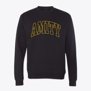 Amity New York Trendy Block Crewneck Sweatshirt