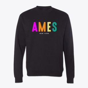 Ames New York Color Pop Crewneck Sweatshirt