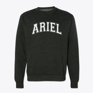 Ariel Community Academy Varsity Arch Crewneck Sweatshirt