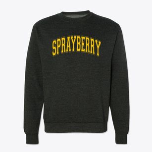 Sprayberry Education Center Varsity Arch Crewneck Sweatshirt