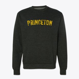 Princeton Wisconsin Timeless Retro Crewneck Sweatshirt