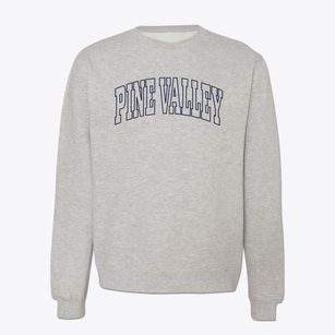Pine Valley New York Trendy Block Crewneck Sweatshirt