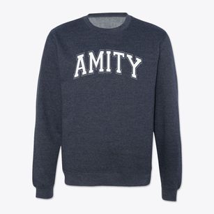 Amity Elementary School Varsity Arch Crewneck Sweatshirt