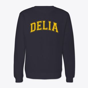 Delia Elementay School Varsity Arch Crewneck Sweatshirt