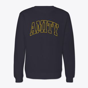 Amity Arkansas Trendy Block Crewneck Sweatshirt
