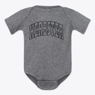 Herbster Wisconsin Trendy Block Baby Onesie