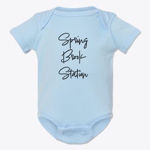 Spring Brook Station New York Freestyle Baby Onesie