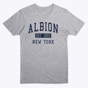 Albion New York Classic Established Premium T-Shirt