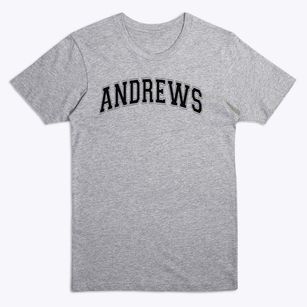 Andrews Elementary School Varsity Arch Premium T-Shirt