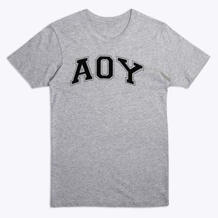 Aoy Elementary School Varsity Arch Premium T-Shirt