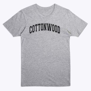 Cottonwood Elementary School Varsity Arch Premium T-Shirt