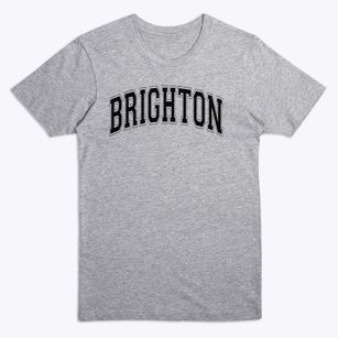 Brighton Elementary School Varsity Arch Premium T-Shirt