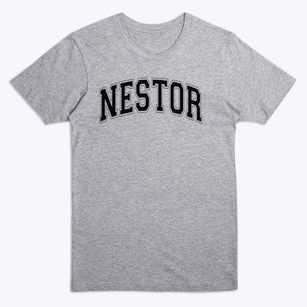 Nestor Elementary School Varsity Arch Premium T-Shirt
