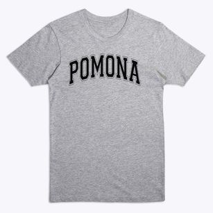 Pomona Valley Yes Varsity Arch Premium T-Shirt