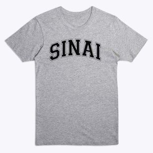 Sinai Akiba Hebrew Academy Varsity Arch Premium T-Shirt