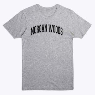 Morgan Woods Elementary School Varsity Arch Premium T-Shirt