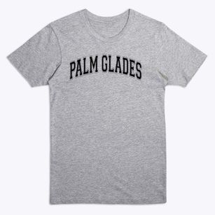 Palm Glades Prep Academy Varsity Arch Premium T-Shirt