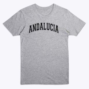 Andalucia Middle School Varsity Arch Premium T-Shirt