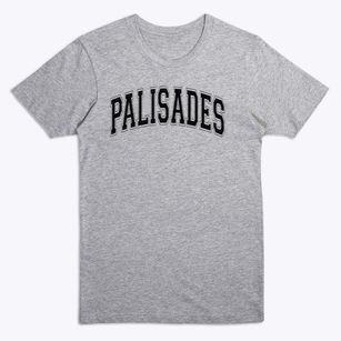 Palisades Elementary School Varsity Arch Premium T-Shirt