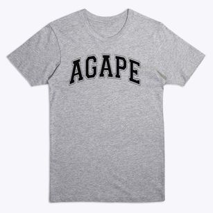 Agape Christian High School Varsity Arch Premium T-Shirt