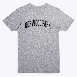 Norwood Park Elementary School Varsity Arch Premium T-Shirt