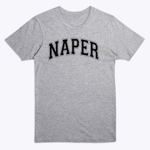 Naper Elementary School Varsity Arch Premium T-Shirt
