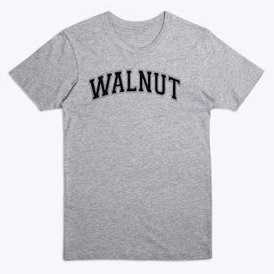 Walnut School Varsity Arch Premium T-Shirt