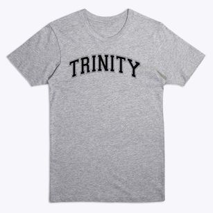 Trinity Christian Academy Varsity Arch Premium T-Shirt