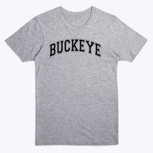 Buckeye Elementary School Varsity Arch Premium T-Shirt