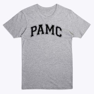 Phoenix Academic Magnet Elementary Schoo Varsity Arch Premium T-Shirt