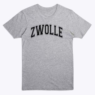 Zwolle Elementary School Varsity Arch Premium T-Shirt