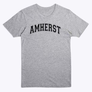 Amherst Regional High School Varsity Arch Premium T-Shirt