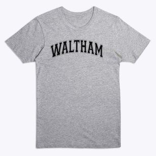 Waltham High School Varsity Arch Premium T-Shirt