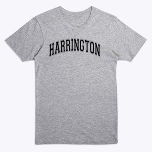 Harrington Elementary School Varsity Arch Premium T-Shirt