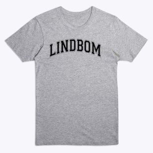 Lindbom Elementary School Varsity Arch Premium T-Shirt
