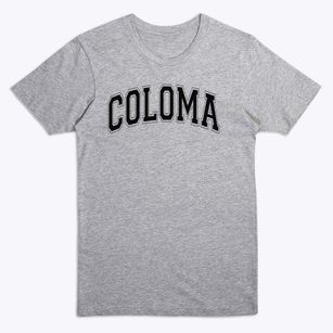 Coloma Junior High School Varsity Arch Premium T-Shirt