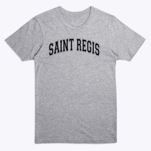 Saint Regis Early Childhood Center Varsity Arch Premium T-Shirt