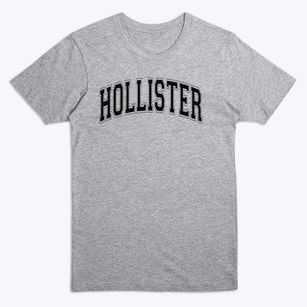 Hollister High School Varsity Arch Premium T-Shirt