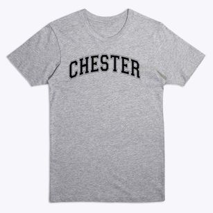 Chester Elementary School Varsity Arch Premium T-Shirt