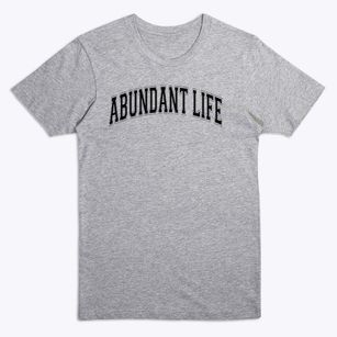 Abundant Life Christian Academy Varsity Arch Premium T-Shirt
