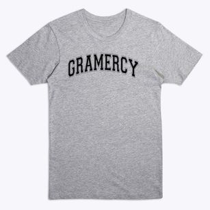 Gramercy Christian School Varsity Arch Premium T-Shirt