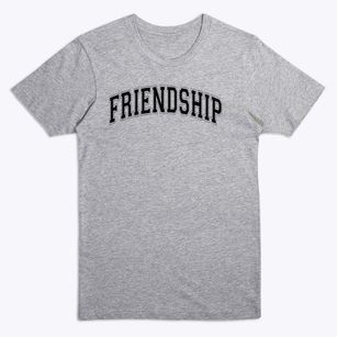 Friendship Christian School Varsity Arch Premium T-Shirt
