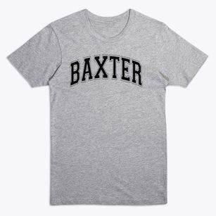 Baxter Elementary School Varsity Arch Premium T-Shirt