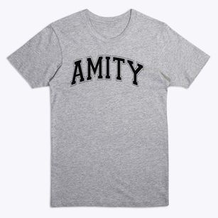 Amity Elementary School Varsity Arch Premium T-Shirt