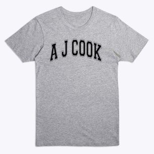A J Cook Elementary School Varsity Arch Premium T-Shirt