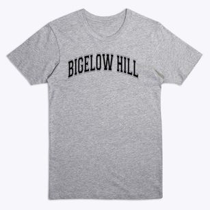 Bigelow Hill Intermediate School Varsity Arch Premium T-Shirt