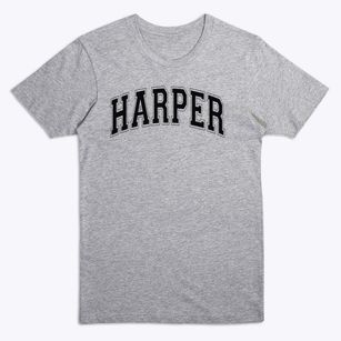 Harper School Varsity Arch Premium T-Shirt
