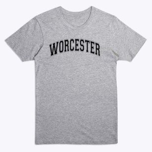 Worcester Elementary School Varsity Arch Premium T-Shirt