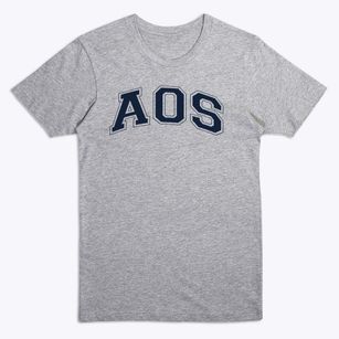 Annunciation Orthodox School Varsity Arch Premium T-Shirt